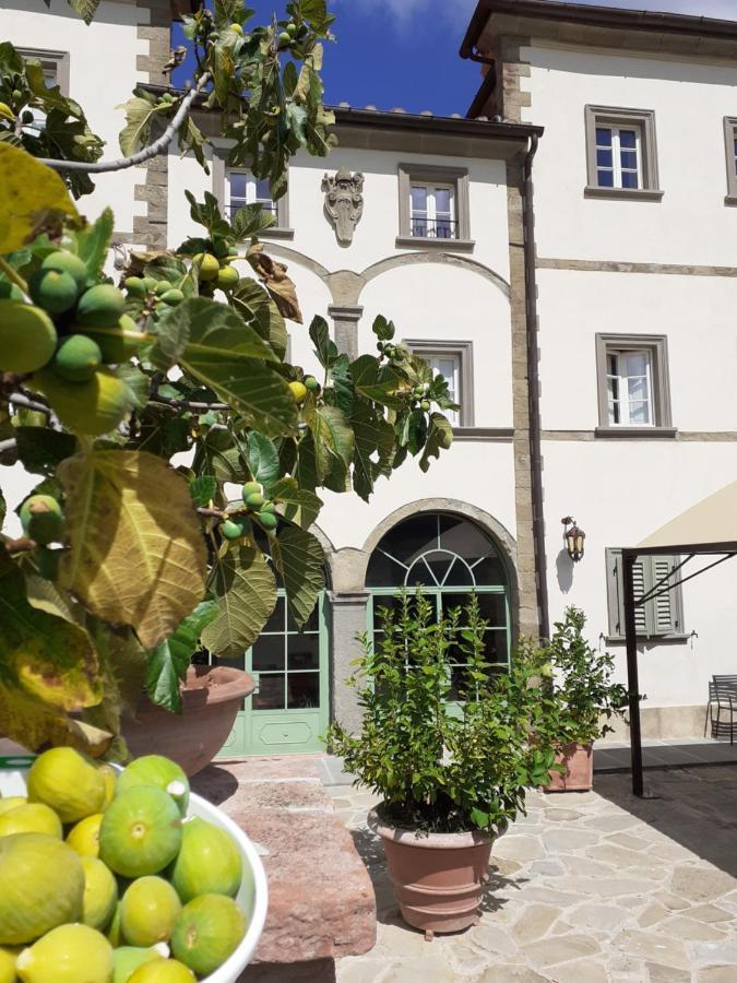 Villa La Fornella Dell'Anita Pelago Exterior foto
