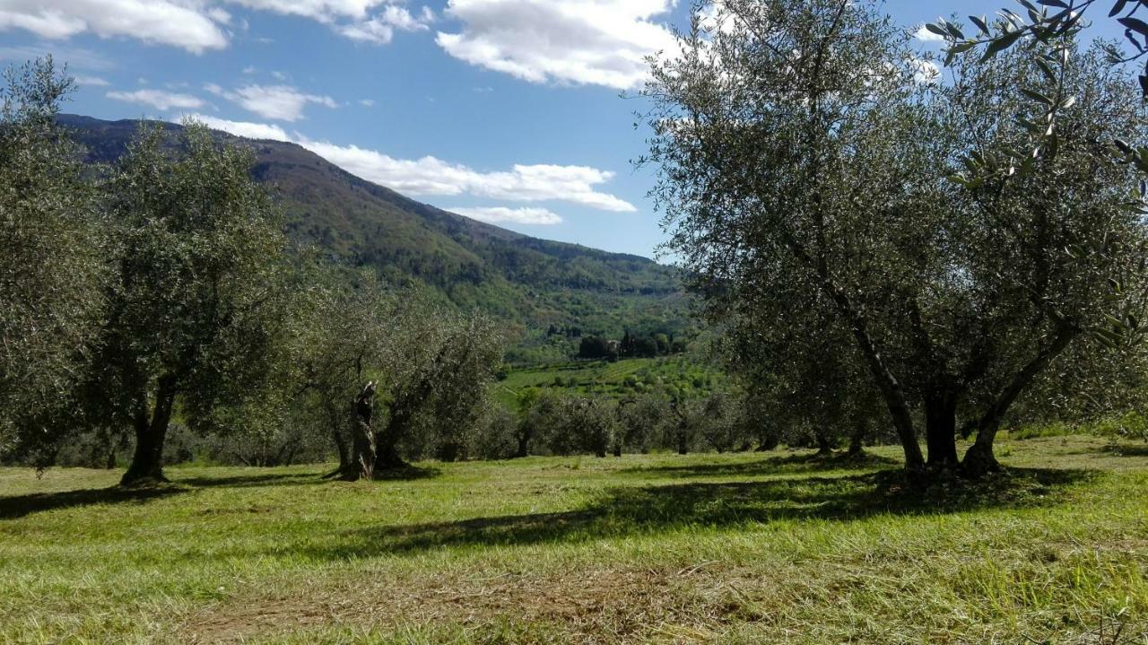 Villa La Fornella Dell'Anita Pelago Exterior foto