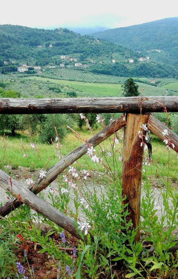 Villa La Fornella Dell'Anita Pelago Exterior foto